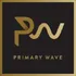 Primary Wave Music Publishing, LLC logo