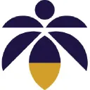 Lume Cannabis Co. logo