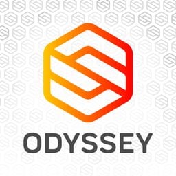 Odyssey Systems Consulting Group, Ltd. logo