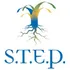 Strategies to Empower People, Inc. logo