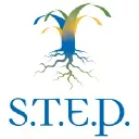 Strategies to Empower People, Inc. logo