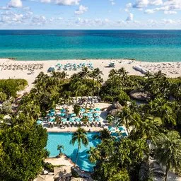 Palms South Beach Inc logo