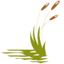 Stoney Brook of Hewitt logo