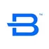 Brunswick Corporation logo