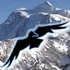 Mt. Baker Ski Area, Inc. logo