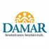 Damar Services, Inc. logo