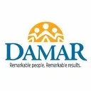 Damar Services, Inc. logo