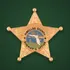 Pinellas County Sheriff's Office (FL) logo