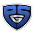 Platinum Group Security logo