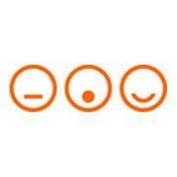 Company Logo or Photo