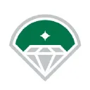 DIAMOND BASEBALL HOLDINGS LLC logo