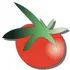 The Tomato Shack salad & pizza co. logo