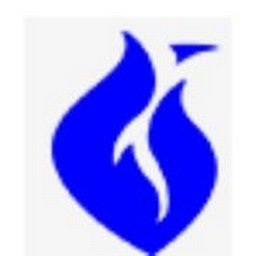 Company Logo or Photo