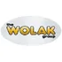 The Wolak Group logo