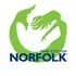 City of Norfolk logo