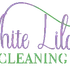 Wiz Cleaners logo