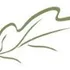 Village Management Services, Inc logo