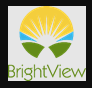 BrightView logo
