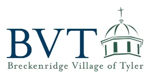BVT logo