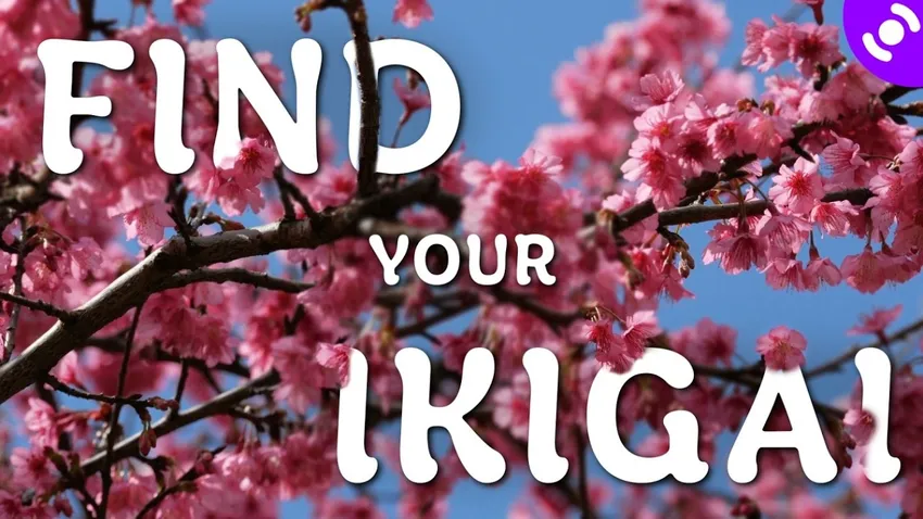 Juan Jose Xacur, Chef Ignacio Carmona, and Andres Lebrija