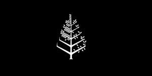 Four Seasons official logo