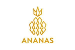 ananas academy logo