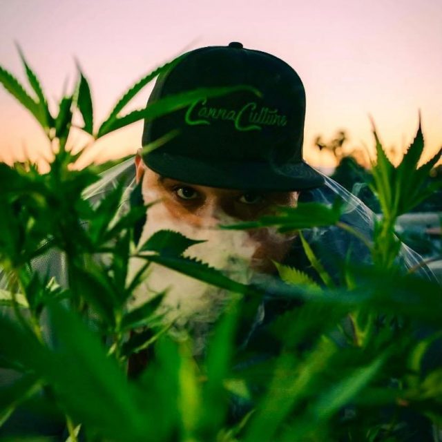 Private Chef Derek Upton, cannabis culture