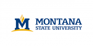 montana state university logo