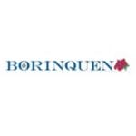 Borinquen Health Care Center, Inc logo