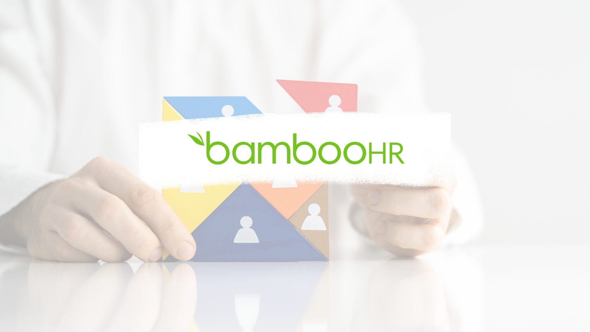 Bamboo HR photo