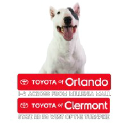 Toyota of Orlando logo