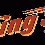 FLYING STAR CAFE logo