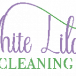 Wiz Cleaners logo