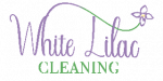 Wiz Cleaners logo