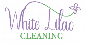 Wiz Cleaners logo