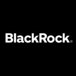 BlackRock Investments logo