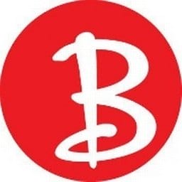 Boston Stoker Inc logo