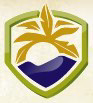 Las Palmas Medical Center logo