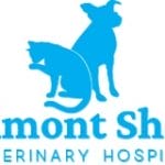 Belmont Shore Veterinary Hospital logo