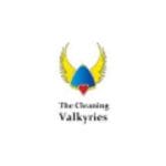 The Cleaning Valkyries logo