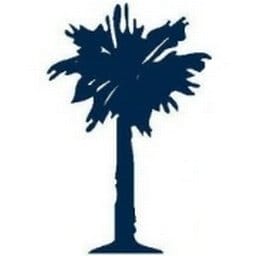 Palmetto Infusion logo