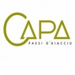 CAPA logo