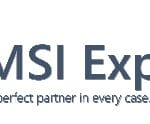 MSI Express logo