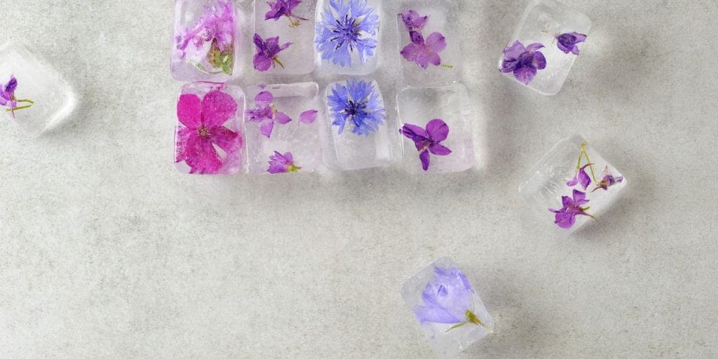 edible flower ice cubes